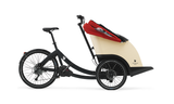 Triobike Taxi (Cycling Without Age)