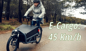 Riese & Müller: cargobikes con asistencia eléctrica hasta 45 Km/h y legales en España