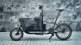 Kit eléctrico Pendix eDrive 300